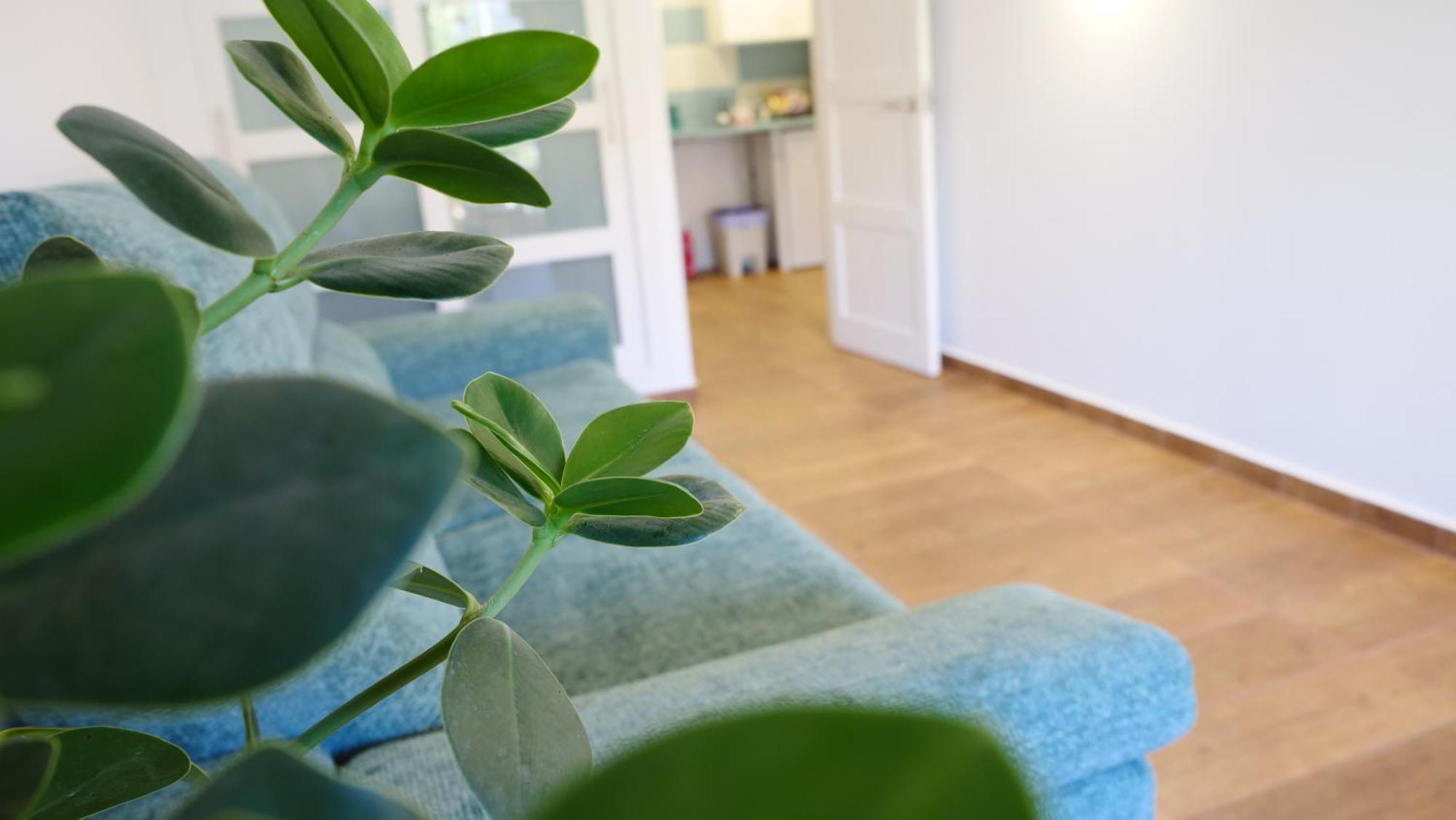 Tuerkiz Kanaan Apartman Puerto de Santiago  Εξωτερικό φωτογραφία
