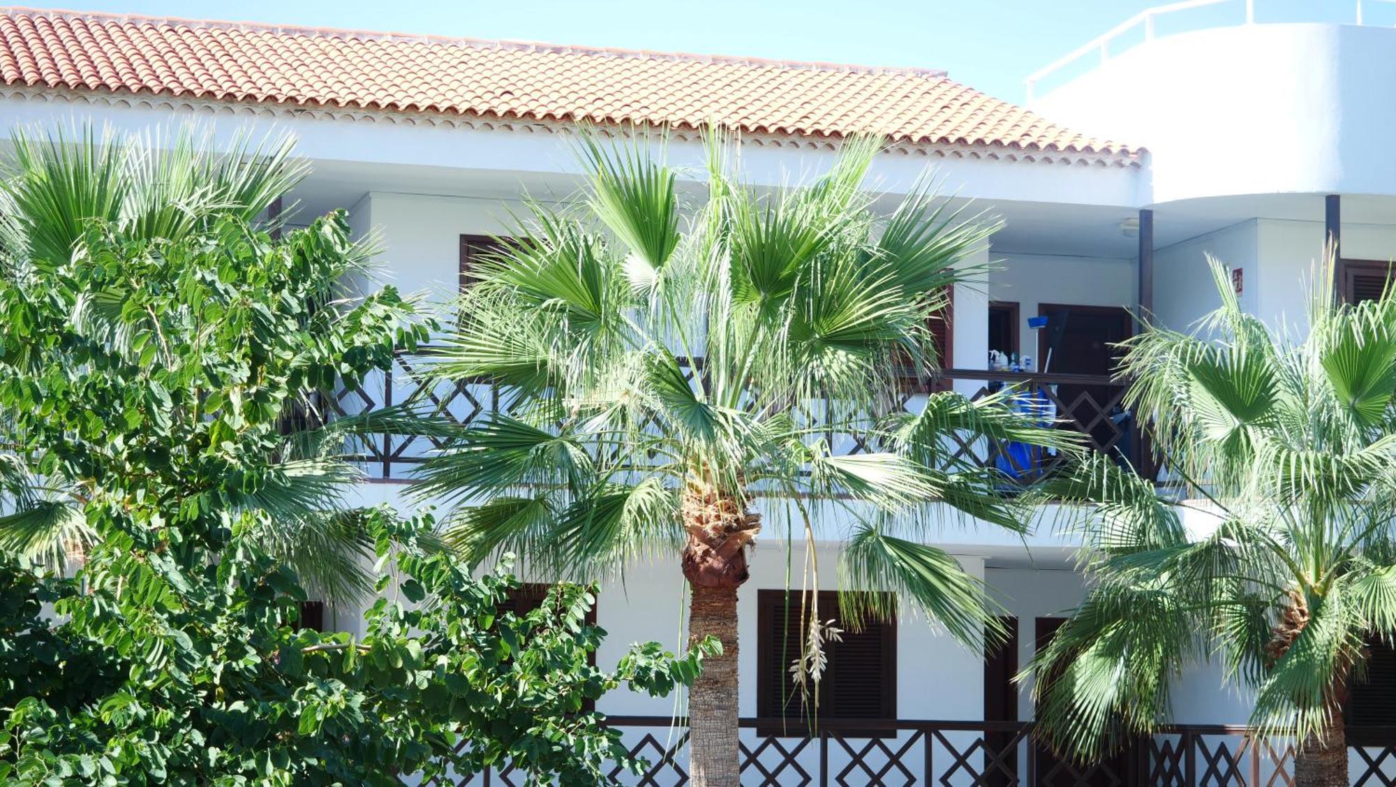 Tuerkiz Kanaan Apartman Puerto de Santiago  Εξωτερικό φωτογραφία